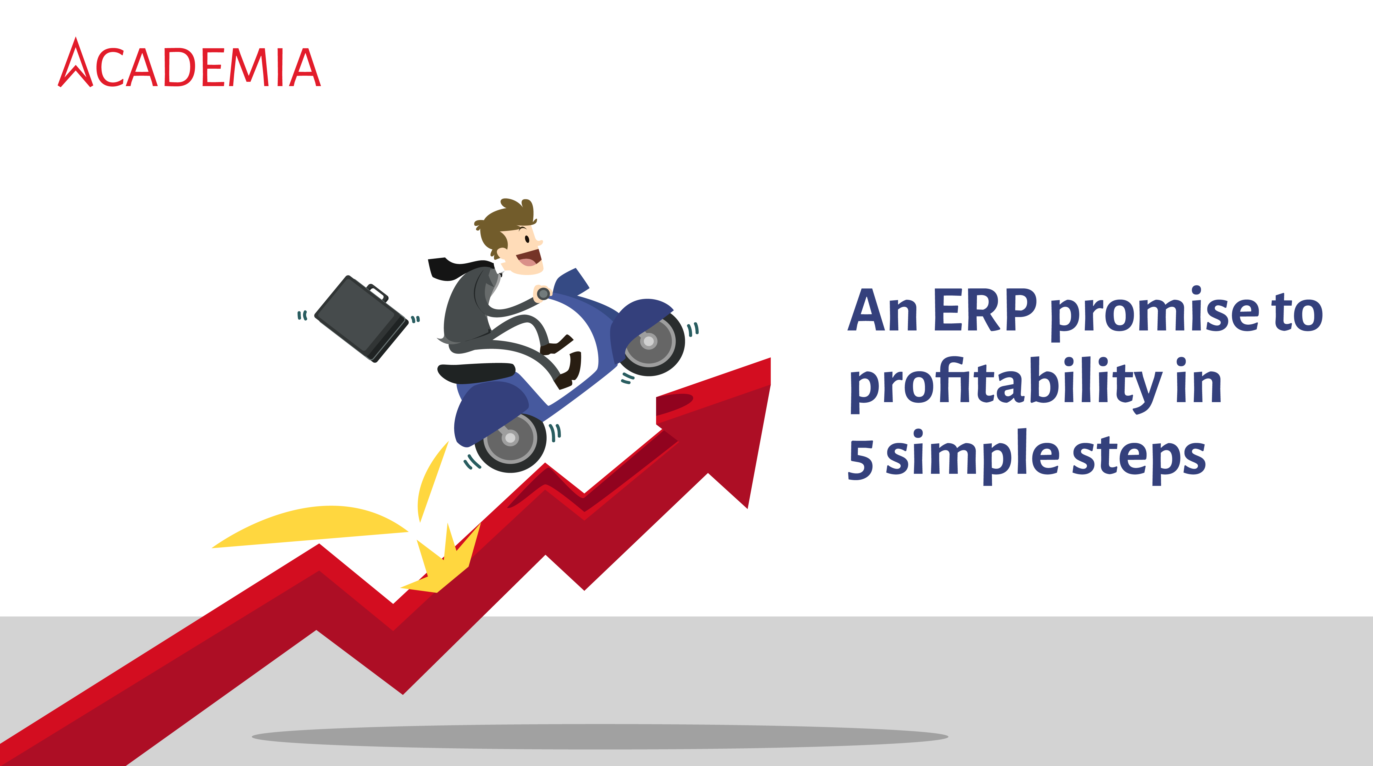 Making ERP Succeed-five-steps-to-ERP-profits-in-education-systems
