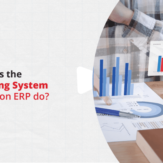 What does the Accounting System in Education ERP do?
