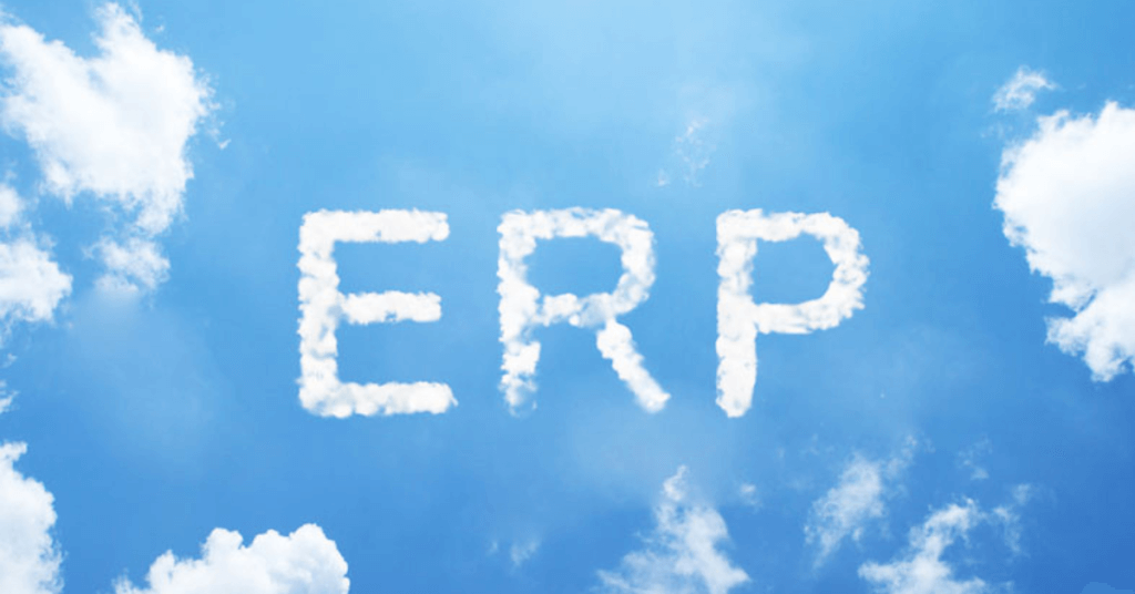 Understanding ERP Systems in Higher Education