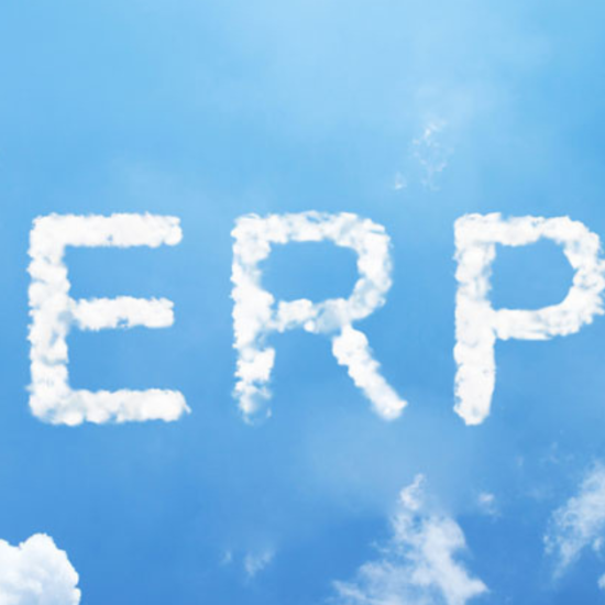 Understanding ERP Systems in Higher Education