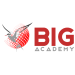 Big Academy