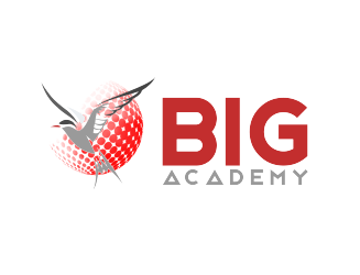 Big Academy